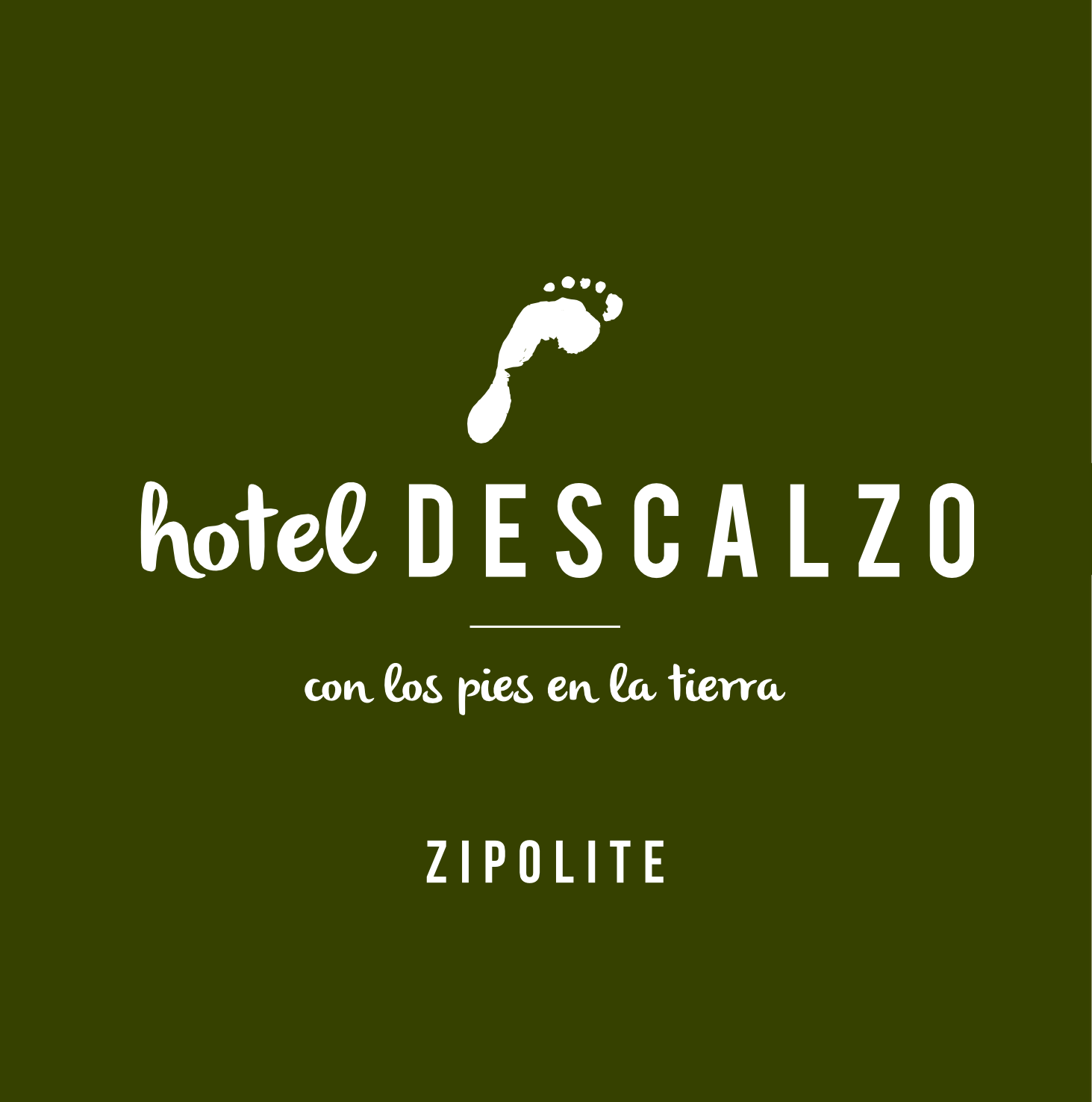 logo hotel descalzo